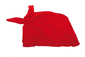 EÅŸarfÄƒ \"Duma\";AP791568-05