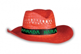 Palarie paie;AP761017-05