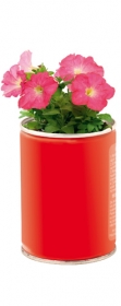 Floare \"Flowcan\" | AP791115-05