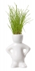 Figurina cu iarba \"Dude\"; cod produs : AP886000