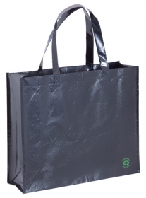 Geanta \"Flubber\";AP731816-10