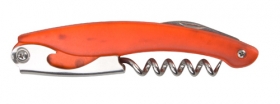 Briceag ospatar \"Pub\";AP810711-05