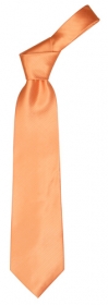 Cravata Premiere Line;AP1222-03