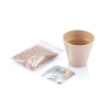 Ghiveci de plante; cod produs : P269.279