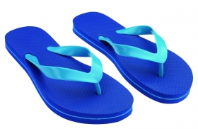 Summer Flip Flop | 45044.50