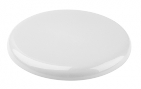 frisbee;AP809473-01