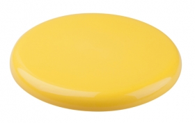 frisbee;AP809473-02