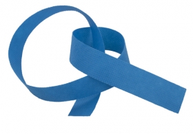 panglica palarii;AP761016-06V