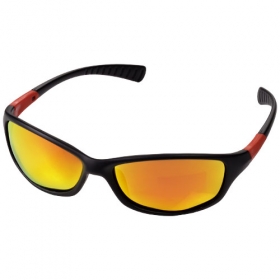 Robson sunglasses;10028100