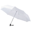 21.5\" 3-Section auto open and close umbrella; cod produs : 10901604