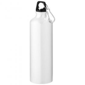 Pacific bottle with carabiner;10029703