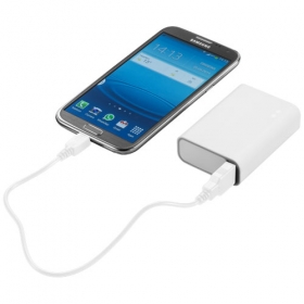 PB-4400 Powerbank WH GY | 12356500