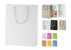 custom made paper shopping bag, large;AP718102