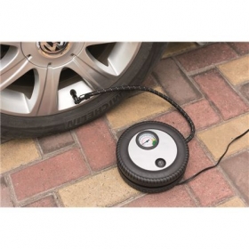 12V electrical car pump;P239.411