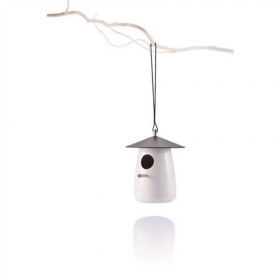 Tweet bird house;P269.003