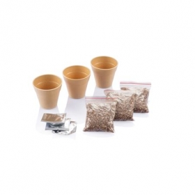 Herb garden;P269.399