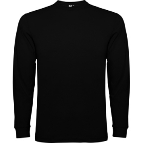 Tricou cu mÃ¢necÄƒ lungÄƒ, cu guler de 4 straturi la baza gÃ¢tului È™i manÈ™ete canelate 1x1. BandÄƒ Ã®ntÄƒritÄƒ pentru acoperirea cusÄƒturii la guler È™i umeri, cusÄƒturi laterale.;1204_02