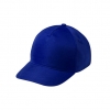 baseball cap; cod produs : AP781295-06A
