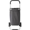 Oxford fabric, cooler, shopping trolley, Grey; cod produs : 7561-03