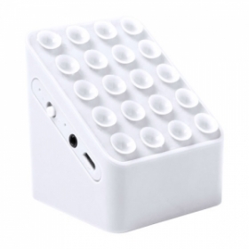 difizor;AP781598-01