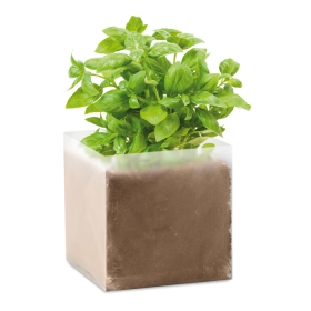 Compost cu seminÈ›e \"BASIL\"     MO9545-13;MO9545-13